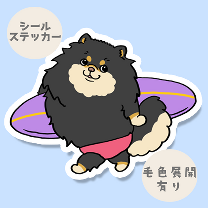 サーファーポメチワちゃん。102-12