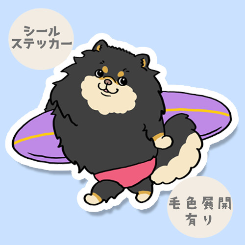サーファーポメチワちゃん。102-12
