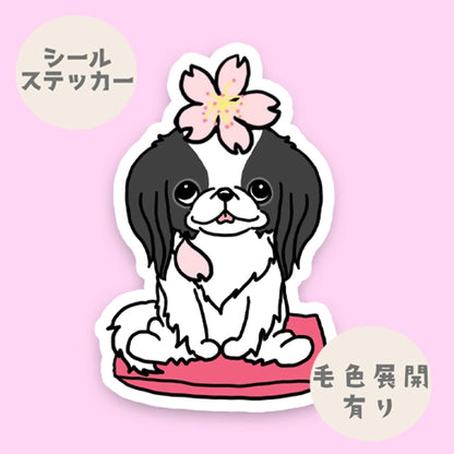 狆ちゃんの春のご挨拶。66-16