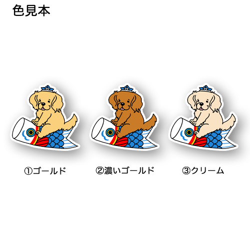 端午の節句のゴールデンちゃん。32-21