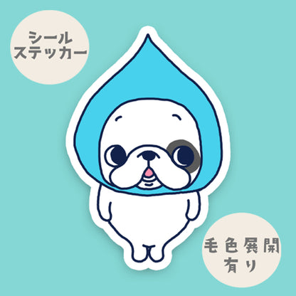 しずくフレブルちゃん。96−22