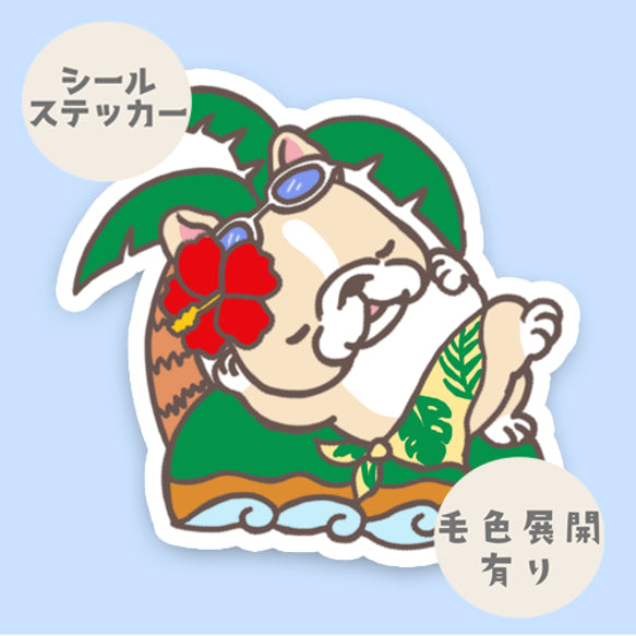 南の島のフレブルちゃん。96−302