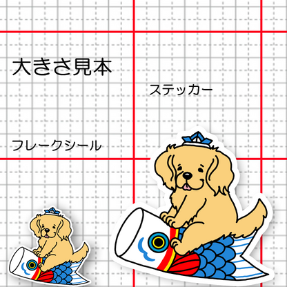 端午の節句のゴールデンちゃん。32-21