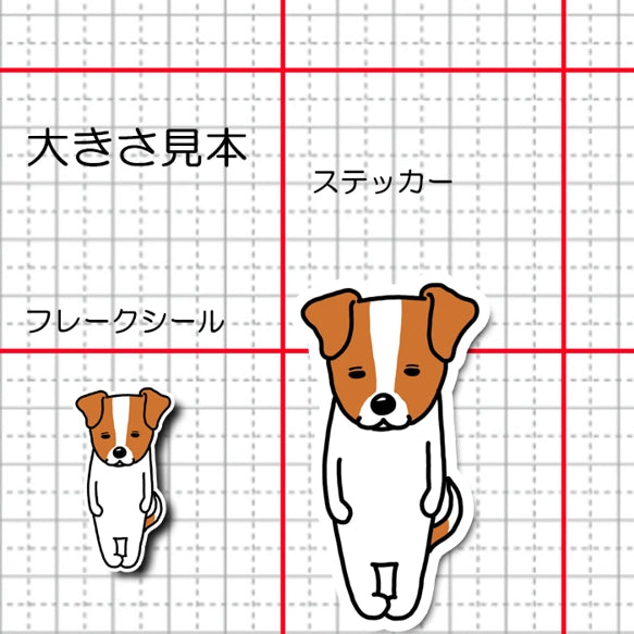 無のジャックラッセルちゃん。42-4