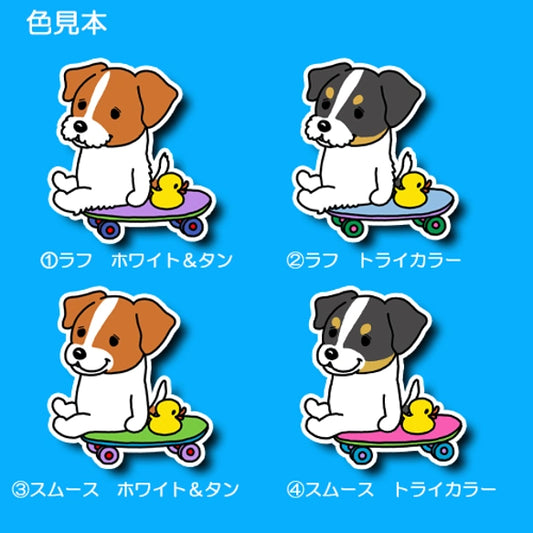 誰かと遊びたいジャックラッセルちゃん。42-9