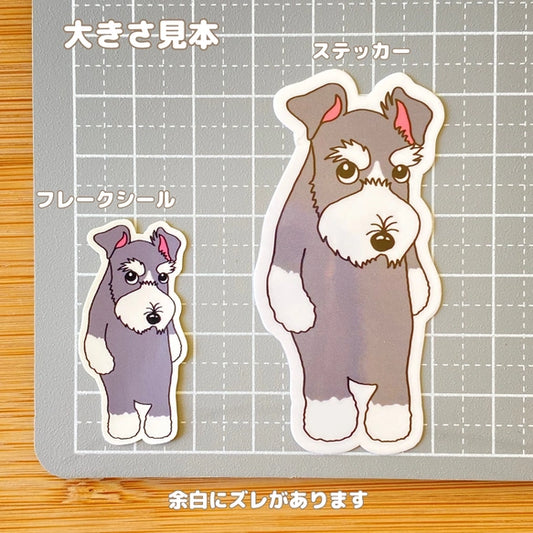 おすましシュナウザーちゃん。44-28