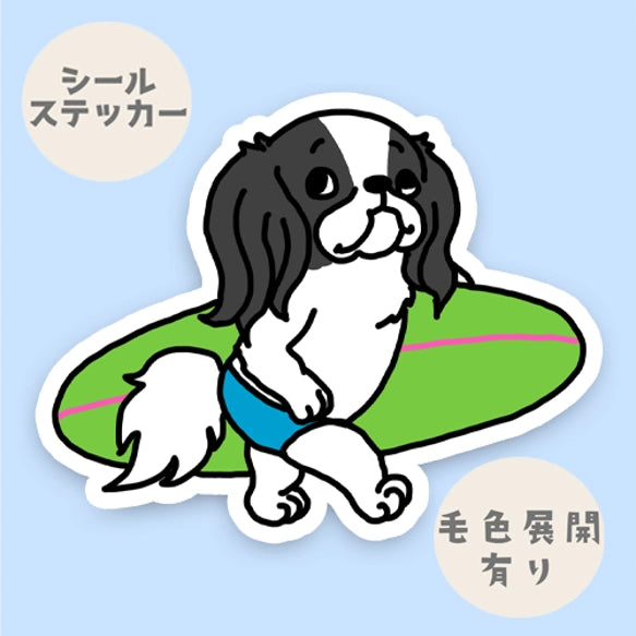 サーファー狆ちゃん。66-19