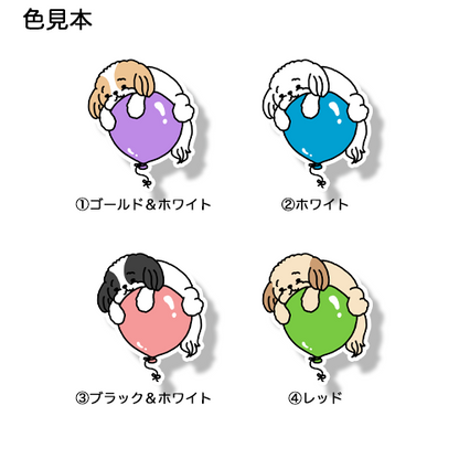 風船でプカプカマルシーズーちゃん。108-13