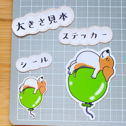 ふわふわ風船でお昼寝ビーグルちゃん。85-