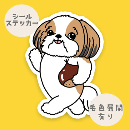栗が好きなシーズーちゃん。35-18
