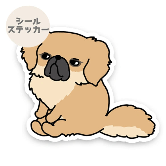 疑ってるチベタンスパニエルちゃん。55-4