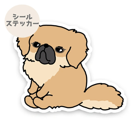 疑ってるチベタンスパニエルちゃん。55-4