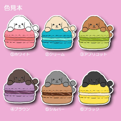 マカロン大好きプードルちゃん。87-