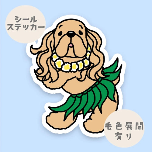 フラアメコカちゃん。5-21