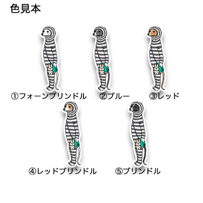 ウィペットさんの朝んぽスタイル。13-6
