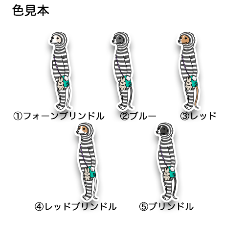 ウィペットさんの朝んぽスタイル。13-6