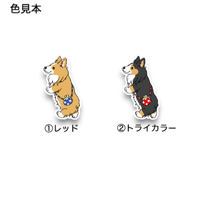 お買い物フラッフィーコーギーちゃん。15-32