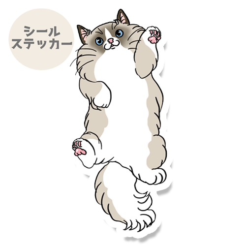 ヘソ天ラグドールちゃん。148-2