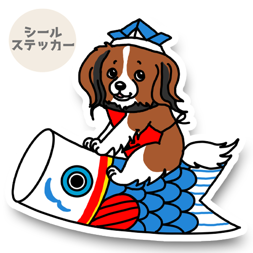 端午の節句のコイケルちゃん。31-8
