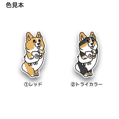 おやすみなさいって言ってるコーギーちゃん。15-7