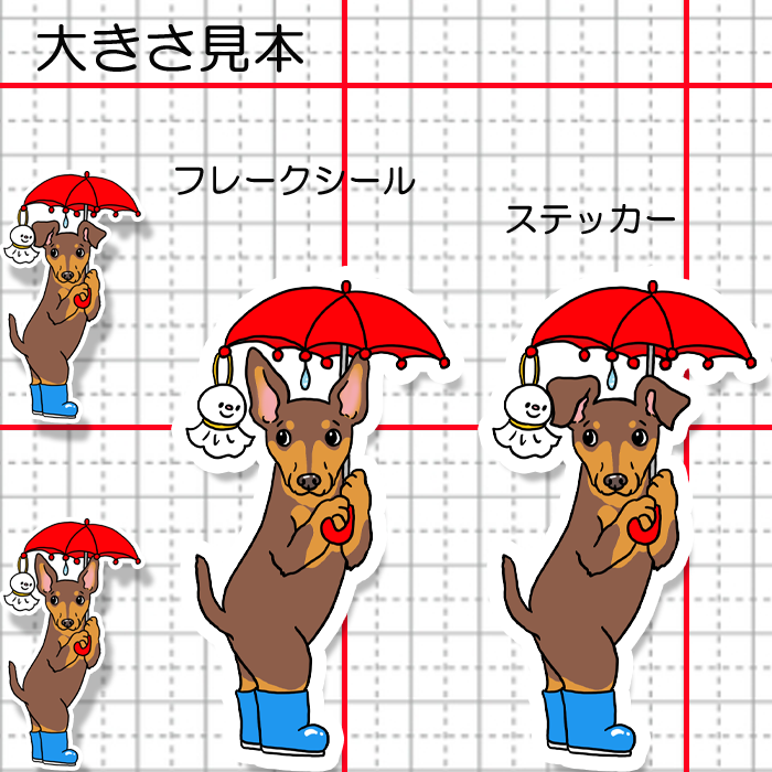雨の日のお散歩のミニピンちゃん。113-27
