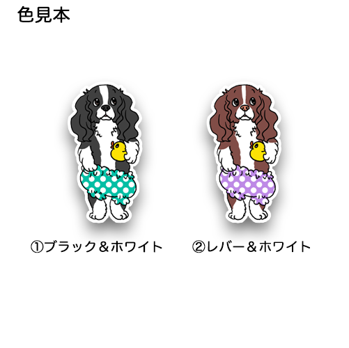 おパンツイングリッシュスプリンガーちゃん。11-7