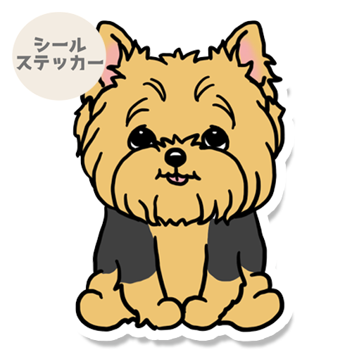 おすわりしてるヨーキーちゃん。114-23