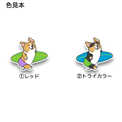 サーファーコーギーちゃん。15-16