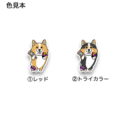 コーギーちゃんの1月。15-34
