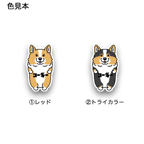 コーギー。15-1