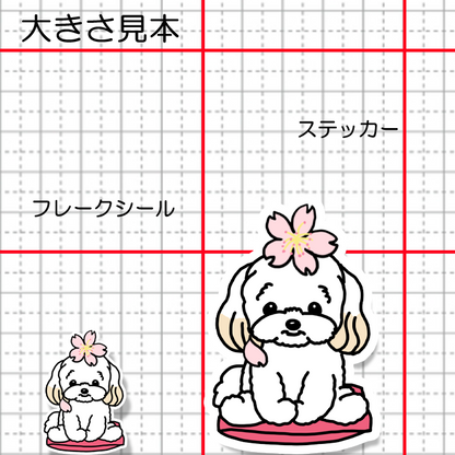 マルプーちゃんの春のご挨拶。111-16