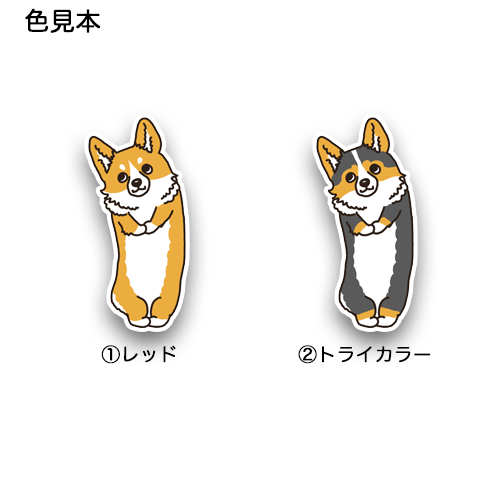 おねだりコーギーちゃん。15-9