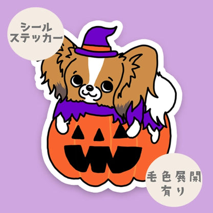オバケカボチャとパピヨンちゃん。80-