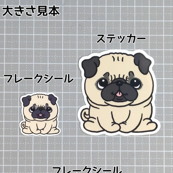 おすわりしてるパグちゃん。76-