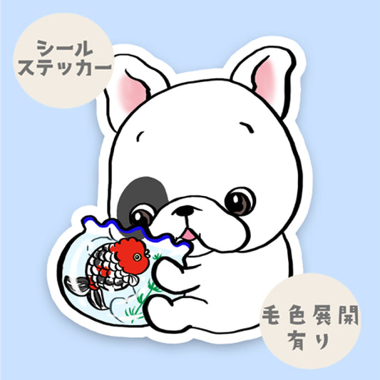 金魚鉢とフレブルちゃん。96−154