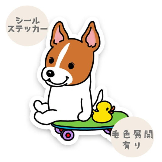 誰かと遊びたい立ち耳ジャックラッセルちゃん。43-8
