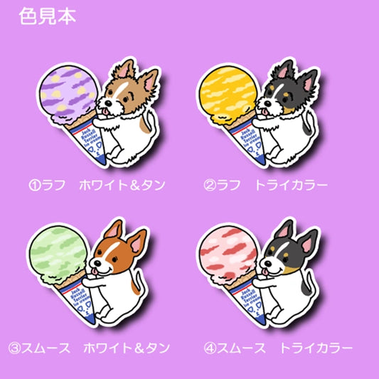 アイスクリームと立ち耳ジャックラッセルちゃん。43-6