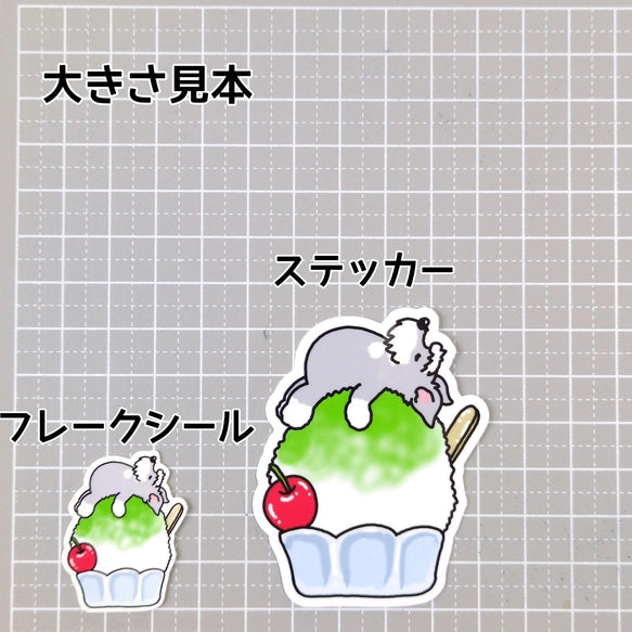 かき氷で冷えてるシュナウザーちゃん。44-6