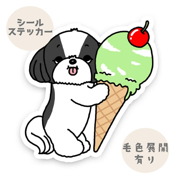 アイスクリーム大好きシーズーちゃん。35-12