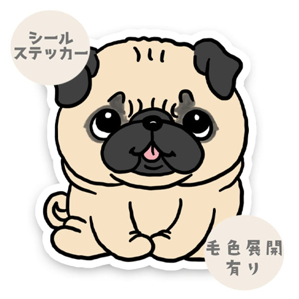 おすわりしてるパグちゃん。76-