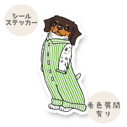 オーバーオールのブリタニースパニエルちゃん。125-