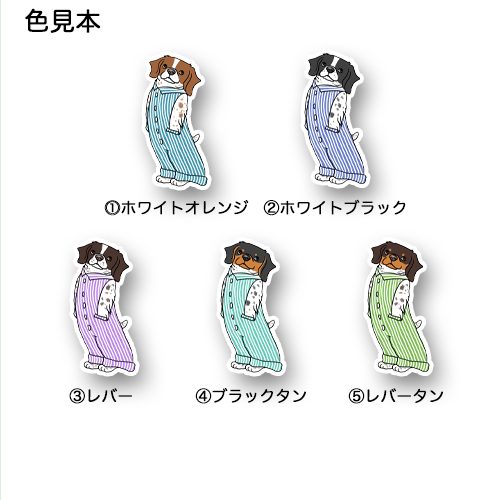 オーバーオールのブリタニースパニエルちゃん。125-