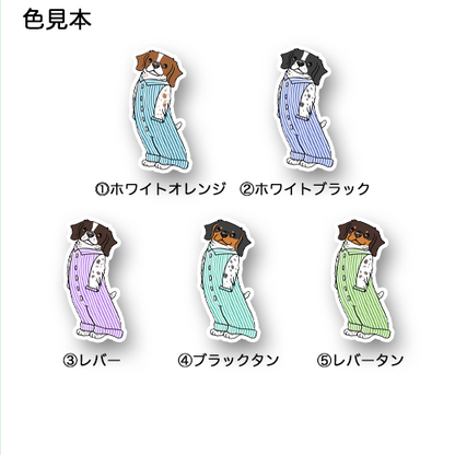 オーバーオールのブリタニースパニエルちゃん。125-