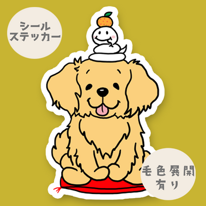 巳年のゴールデンちゃん。32-23