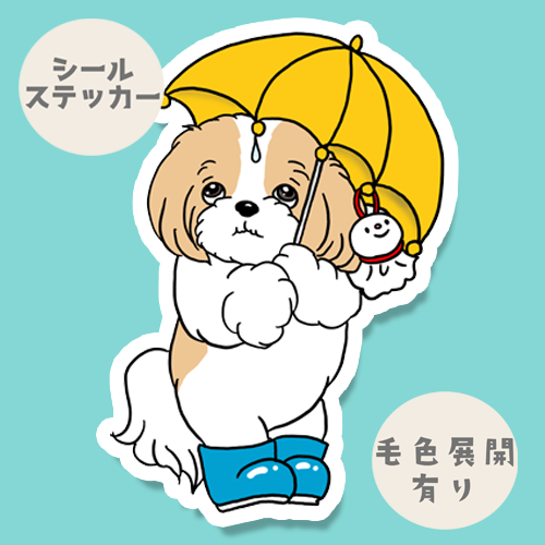 梅雨のお散歩のマルシーズーちゃん。108-14