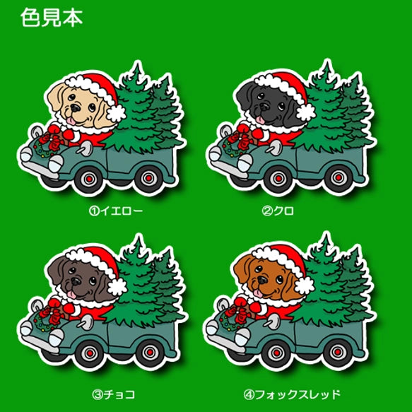 ツリーの配達中のラブラドールちゃん。117-16
