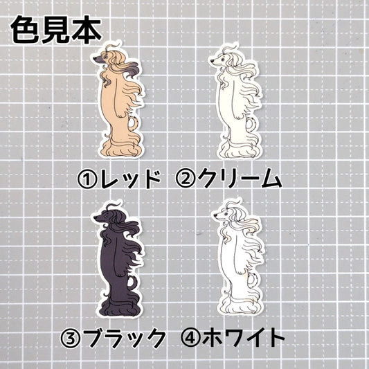 風に吹かれるアフガンハウンドさん。4-3