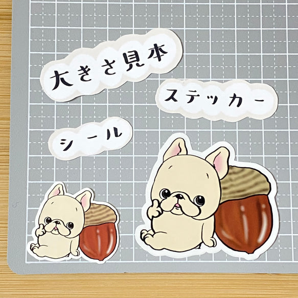 ドングリとフレブルちゃん。96−15
