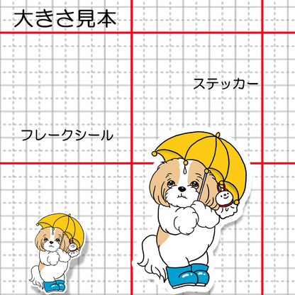 梅雨のお散歩のマルシーズーちゃん。108-14