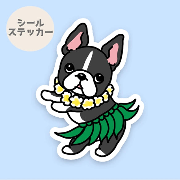 フラボステリちゃん。101-